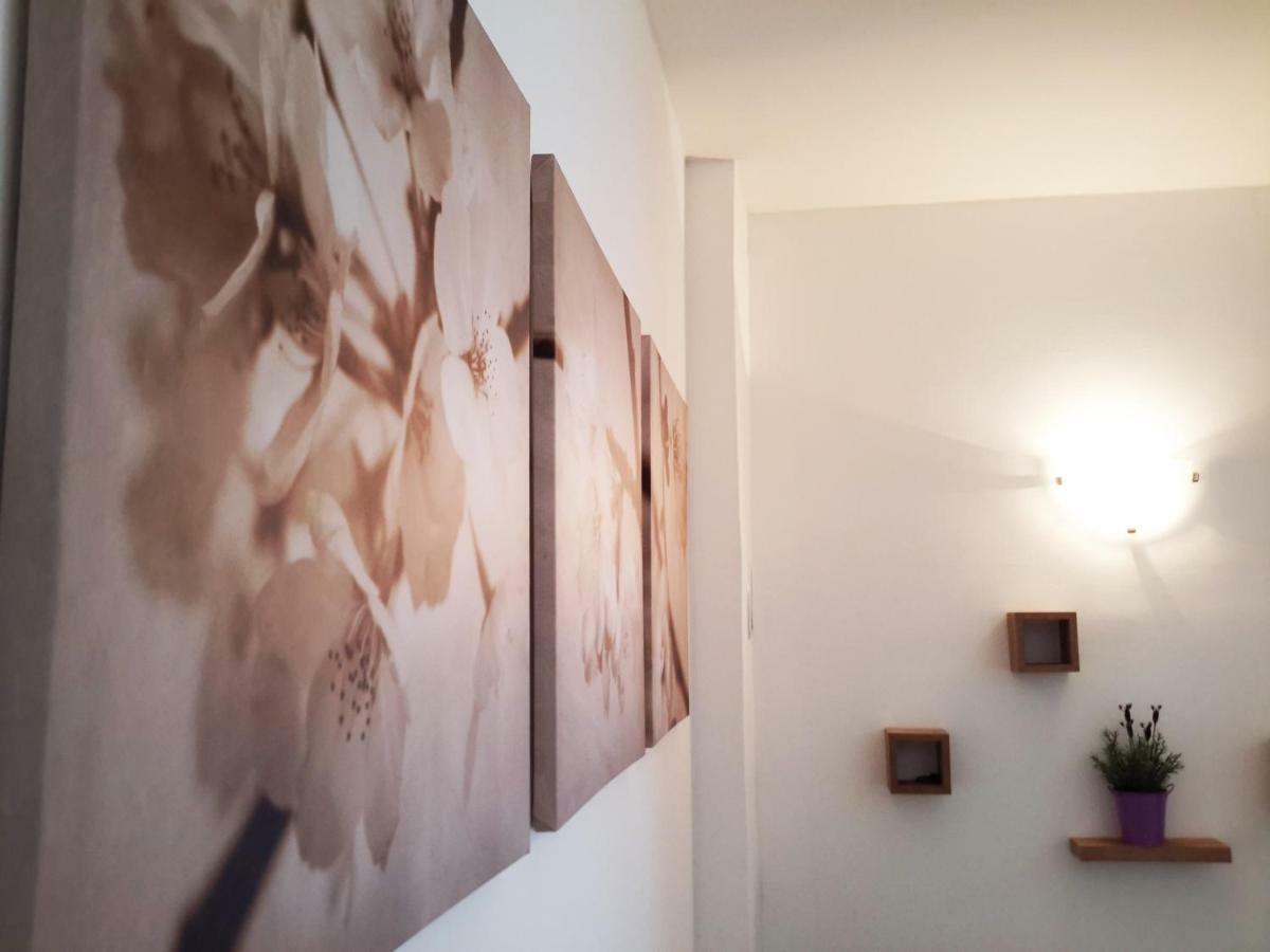 Albert Home カルロヴァッツ エクステリア 写真